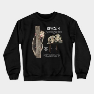 Animal Facts - Opposum Crewneck Sweatshirt